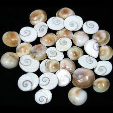 DIWALI : Gomti Chakra (Set of 11)