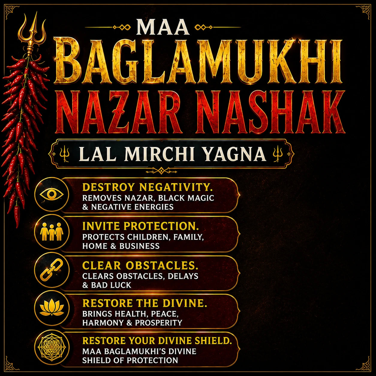 Maa Baglamukhi Nazar Nashak Yagna